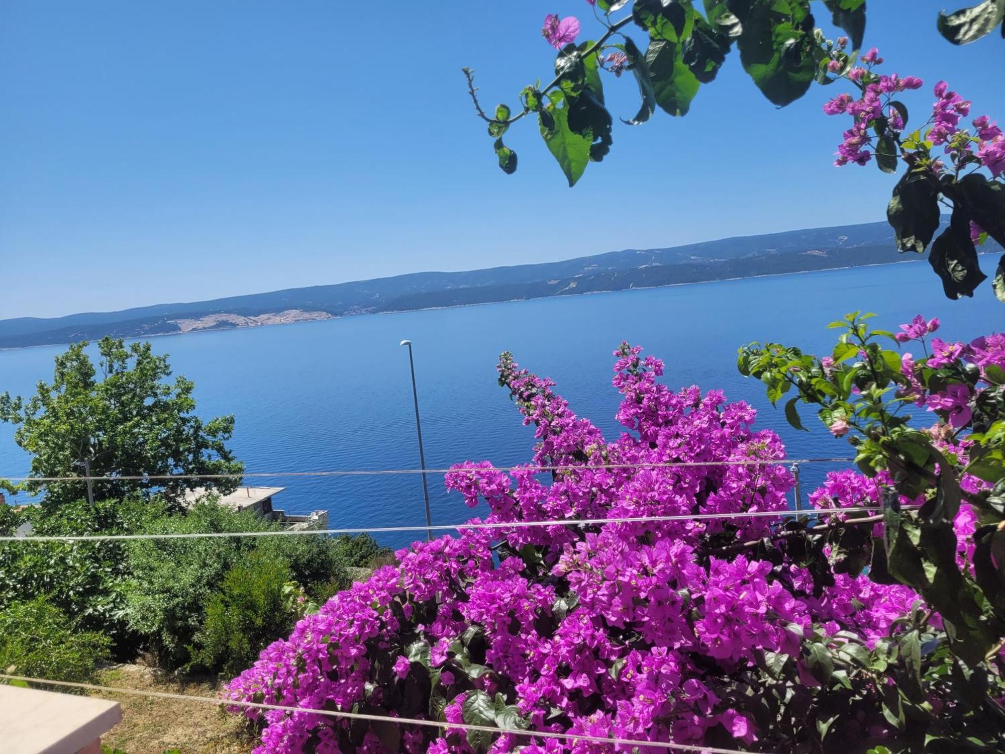Apartments Coko Omiš Cameră foto